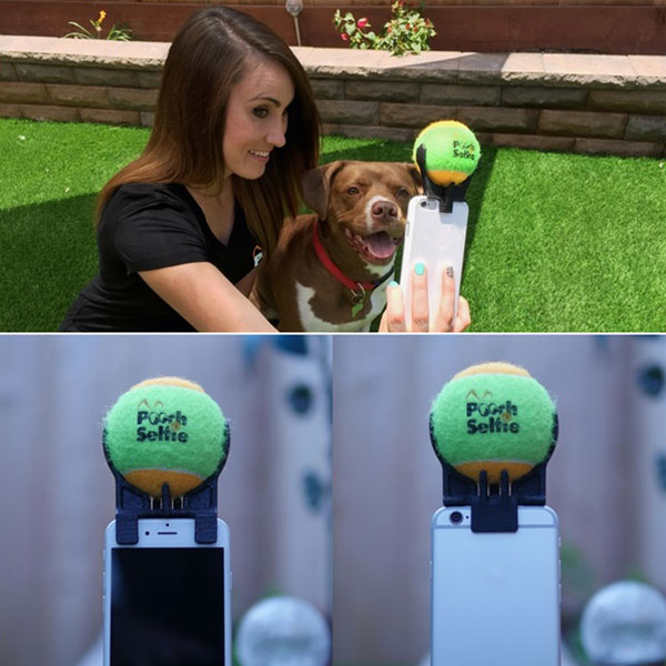 Pooch selfie อุปกรณ์ช่วยถ่ายเซลฟี่กับน้องหมา ให้ออกมาเป๊ะทุกชอต ! 