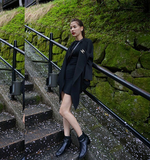 ใบเฟิร์น