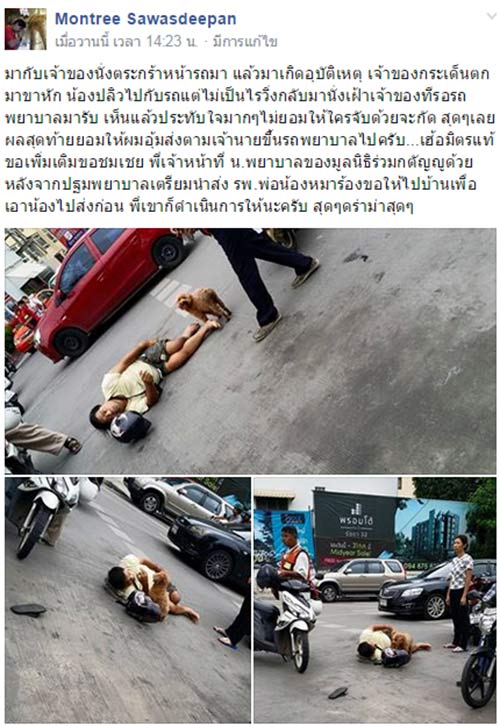 //www.kapook.com/webout.php?url=https://www.facebook.com/groups/poodleclubthailand/permalink/1112284122134148/