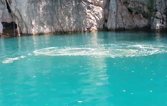 คลื่นหมุนวน