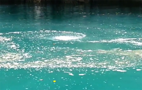 คลื่นหมุนวน