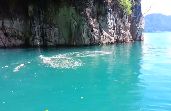 คลื่นหมุนวน