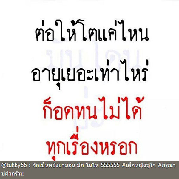 ตุ๊กกี้ ชิงร้อยฯ 