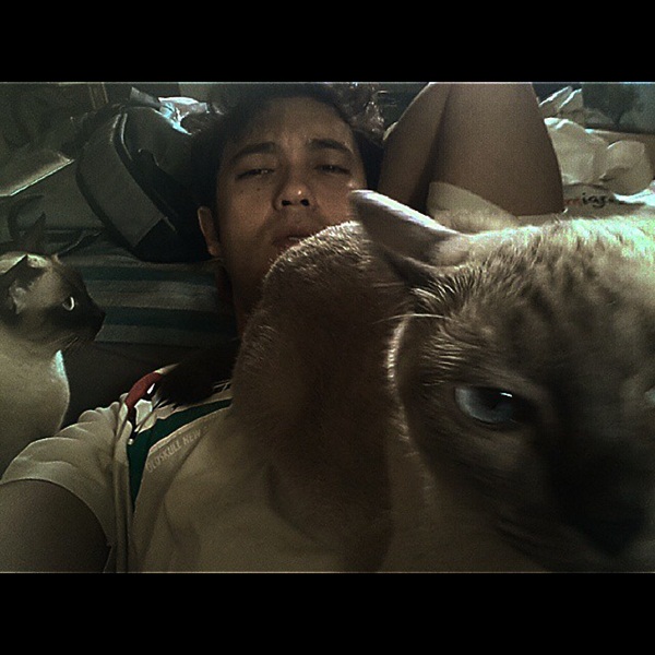 แอนดริว เกร็กสัน