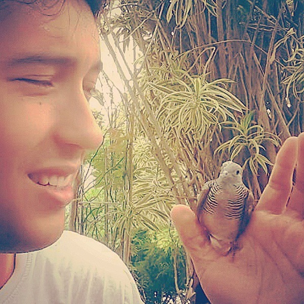 แอนดริว เกร็กสัน