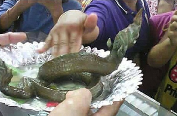 ภาพสัตว์คล้ายลูกพญานาค