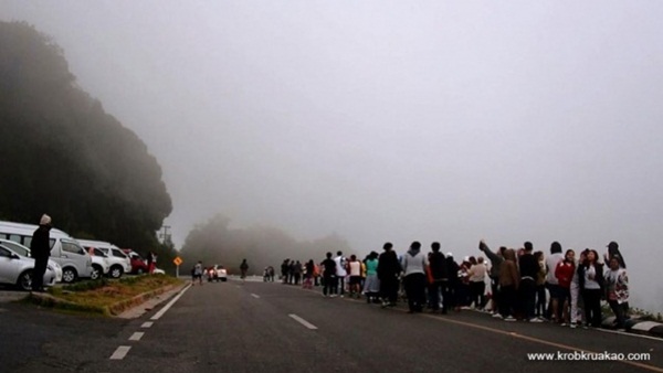 ดอยอินทนนท์คึกคัก