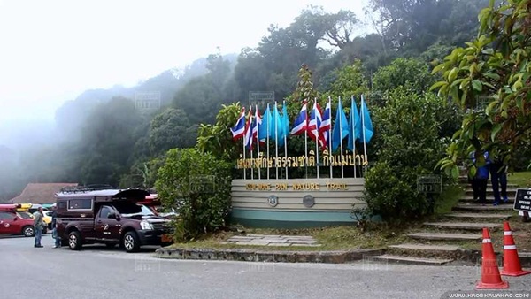 ดอยอินทนนท์คึกคัก