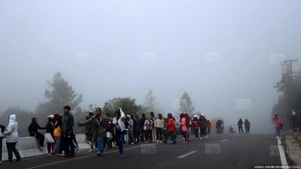 ดอยอินทนนท์คึกคัก