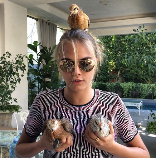 เสื้อยืดคอกลม ดาราต่างประเทศ