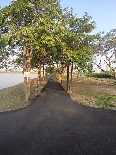 รีวิวลดน้ำหนักด้วยตัวเอง