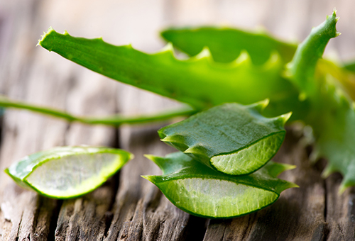 สมุนไพรรักษาสิว