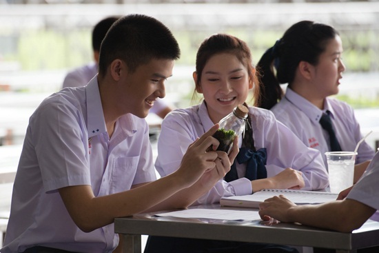 ฮอร์โมน 3