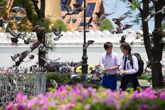 ฮอร์โมน 3