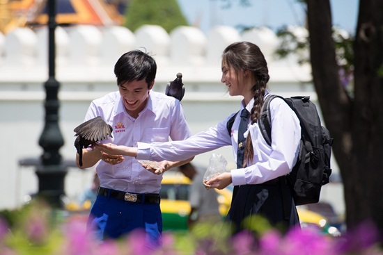 ฮอร์โมน 3