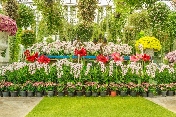 ปราจีนบุรี