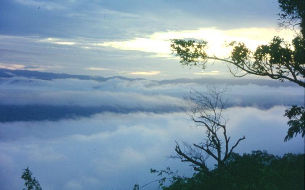 เขาทุ่ง