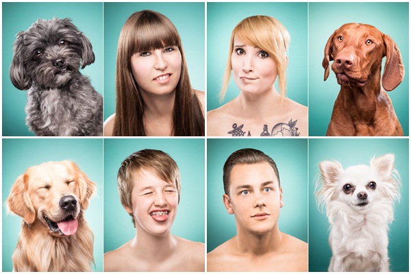 สัตว์เลี้ยง