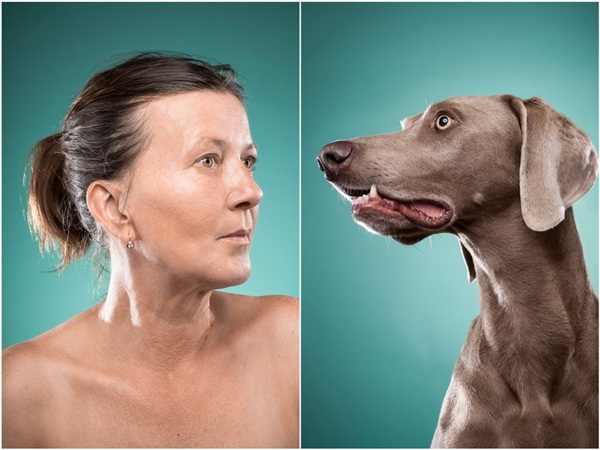 สัตว์เลี้ยง