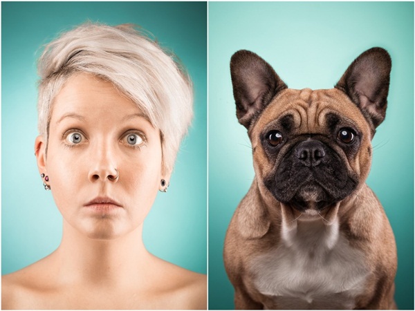 สัตว์เลี้ยง