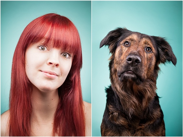 สัตว์เลี้ยง