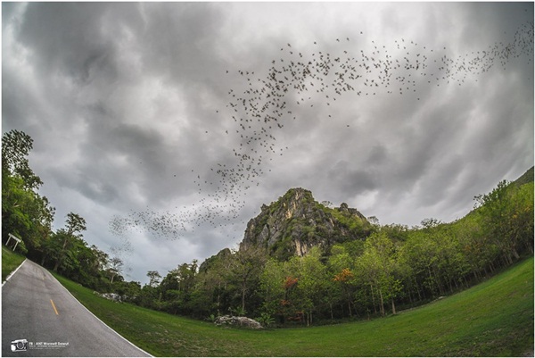 ย้อนรอยประวัติศาสตร์สุโขทัย