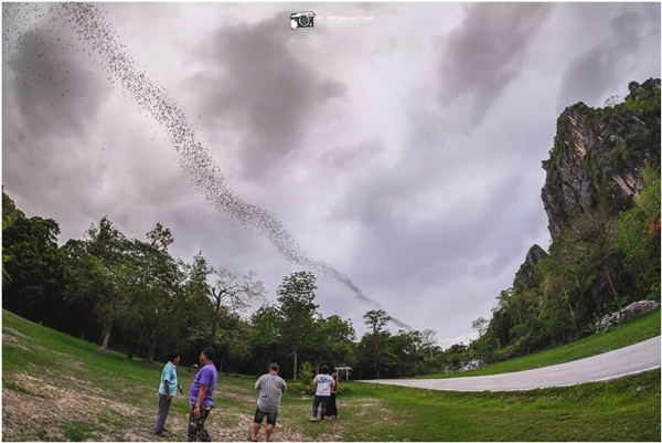 ย้อนรอยประวัติศาสตร์สุโขทัย