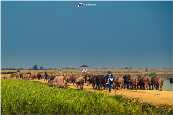 ย้อนรอยประวัติศาสตร์สุโขทัย
