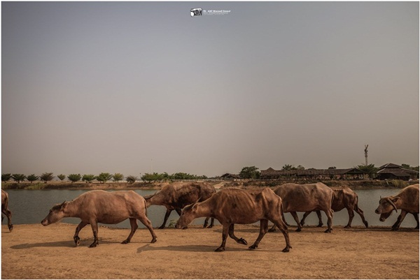 ย้อนรอยประวัติศาสตร์สุโขทัย