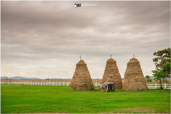 ย้อนรอยประวัติศาสตร์สุโขทัย