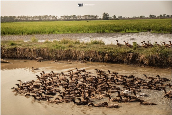 ย้อนรอยประวัติศาสตร์สุโขทัย