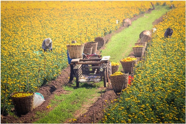 ย้อนรอยประวัติศาสตร์สุโขทัย
