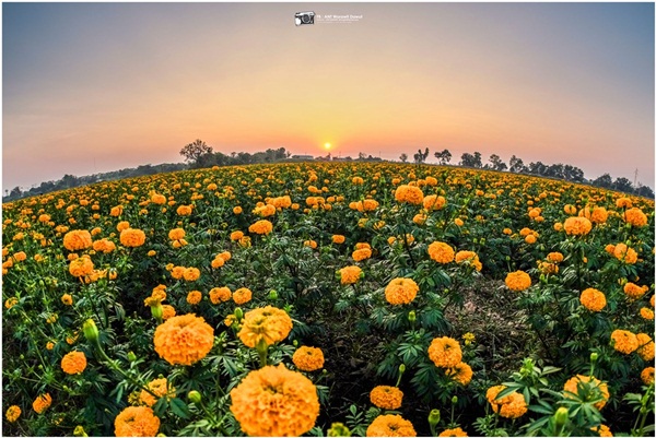 ย้อนรอยประวัติศาสตร์สุโขทัย