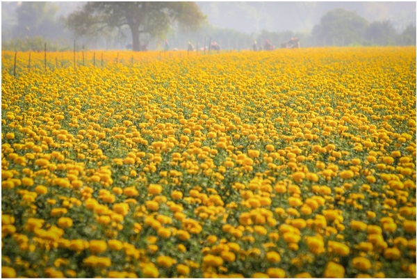 ย้อนรอยประวัติศาสตร์สุโขทัย