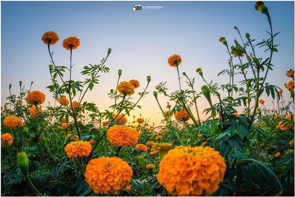 ย้อนรอยประวัติศาสตร์สุโขทัย