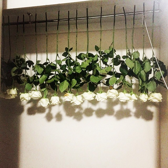 มิน พีชญา 