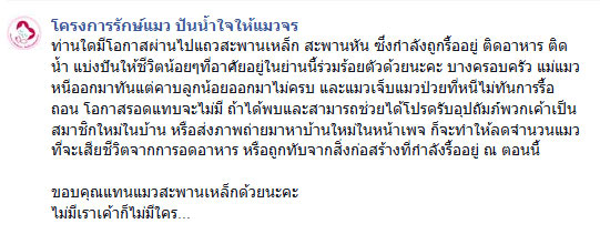 แมวสะพานเหล็ก