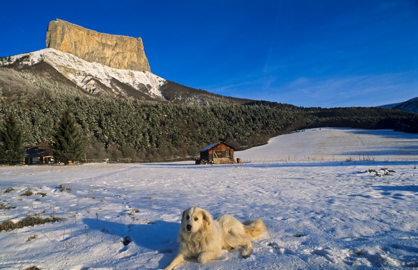 ภูเขา Mont Aiguille ประเทศฝรั่งเศส