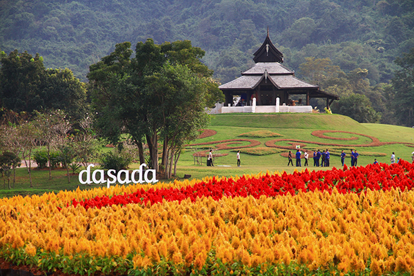 ดาษดาแกลเลอรี่ ปราจีนบุรี