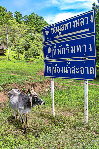 เที่ยวหน้าฝนมุ่งสู่น้ำตกทีลอซู