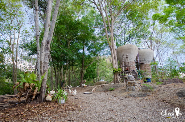 Virgin Island เมืองไทย Virgin Island เมืองไทย