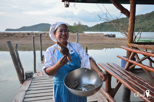 Virgin Island เมืองไทย Virgin Island เมืองไทย