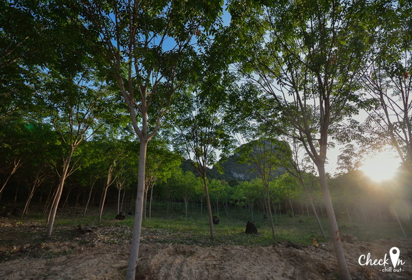 Virgin Island เมืองไทย Virgin Island เมืองไทย