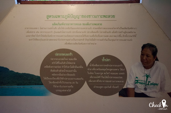Virgin Island เมืองไทย Virgin Island เมืองไทย