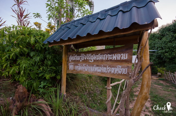 Virgin Island เมืองไทย Virgin Island เมืองไทย