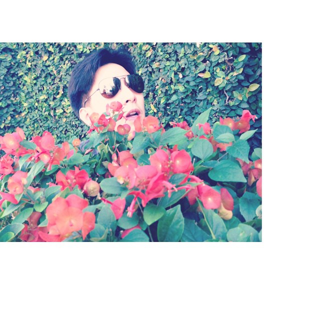 แตงโม โตโน่