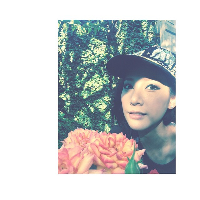 แตงโม โตโน่