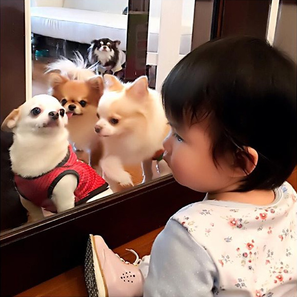 น้องมายู