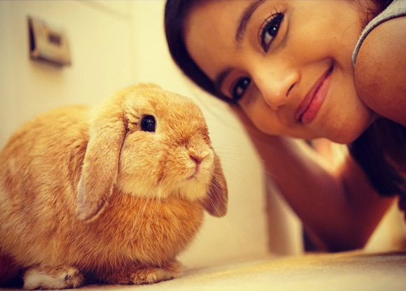 กวาง ABnormal