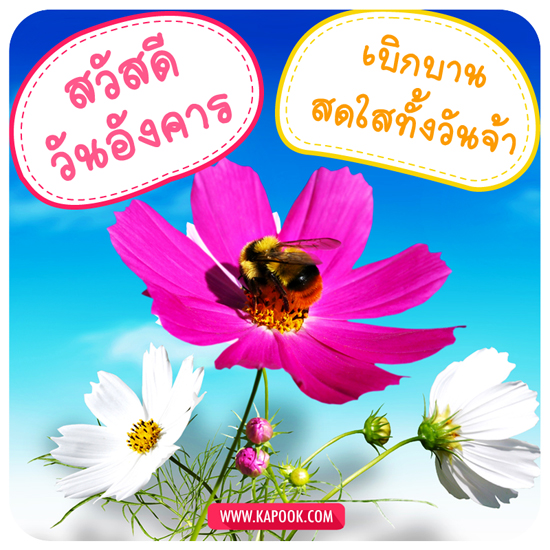 ดูดวง 1 กันยายน 2558